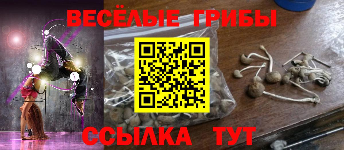 Городец  Галлюциногенные грибы прущие грибы  Псилоцибиновые грибы Psilocybine cubensis  Вход с VPN 