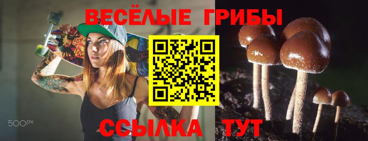 Псилоцибиновые грибы прущие грибы Городец